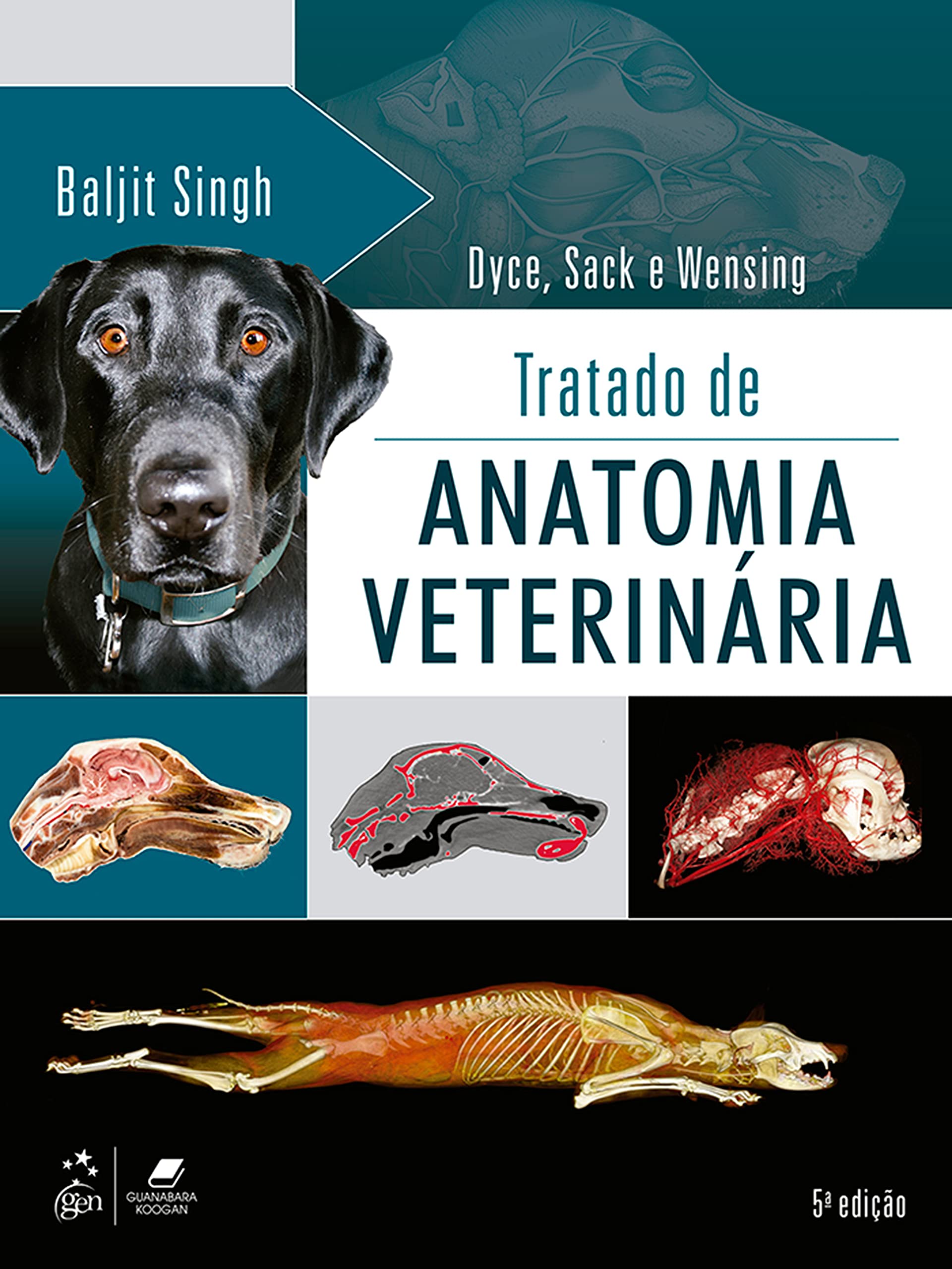 裁断済　Veterinary Circulation No.1〜28全巻セット Tratado de Anatomia Veterinária : K.M. Dyce, K.M.: Amazon.com.br